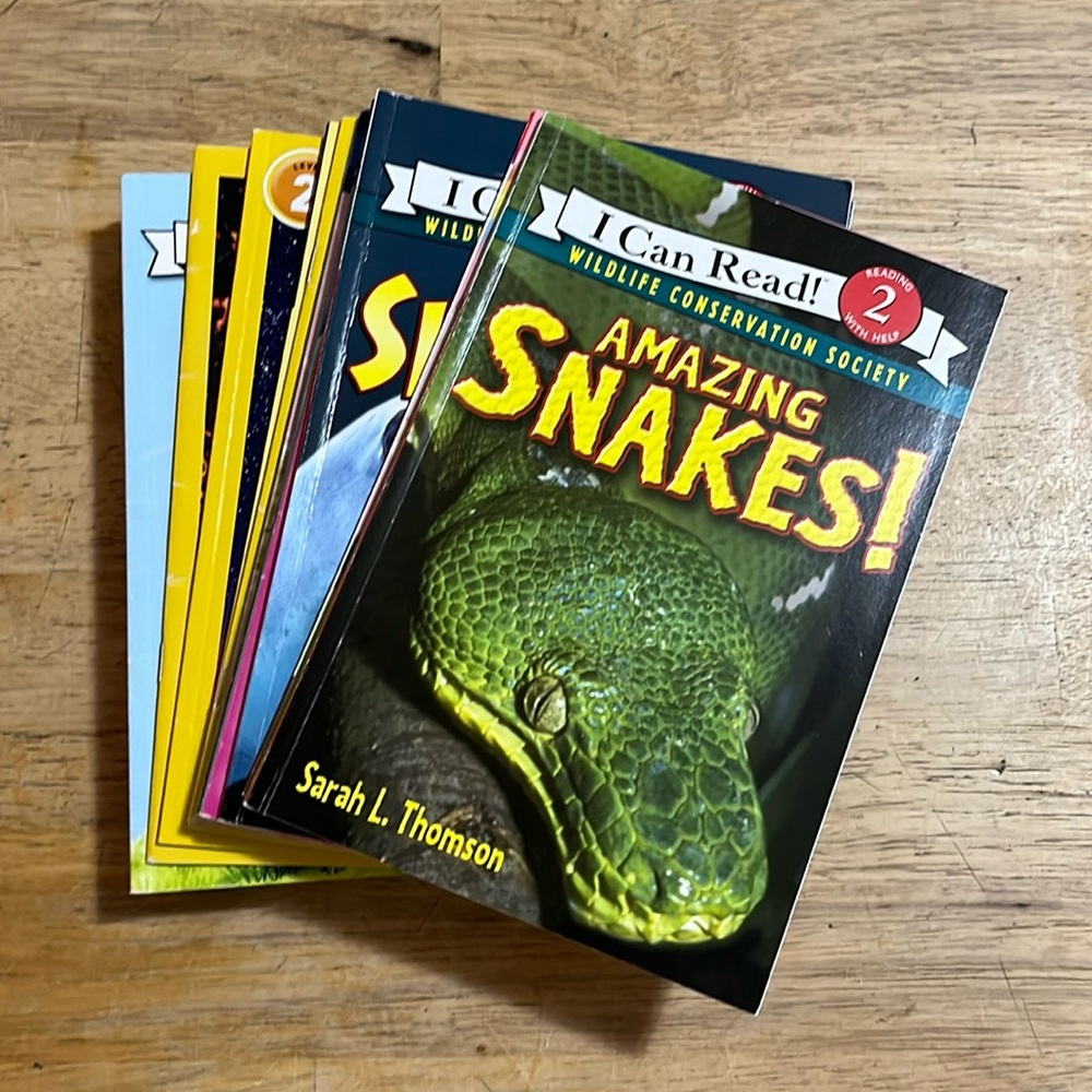 Beginner Readers Level Two Bundle of Twenty Booklets Bundle #3